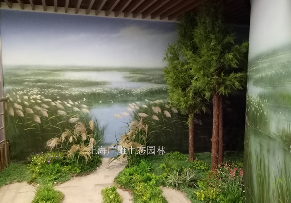 2 (1)����.jpg