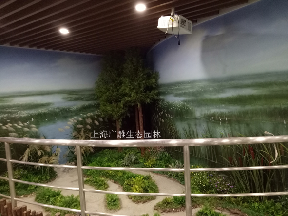 2 (2)����.jpg